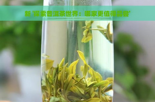 新 '探索普洱茶世界：哪家更值得品尝'