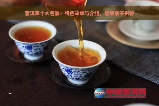 普洱茶十大名寨：特色故事与介绍，冠军寨子揭秘