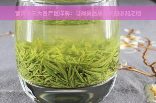 普洱茶三大名产区详解：寻找高品质茶叶的必知之地