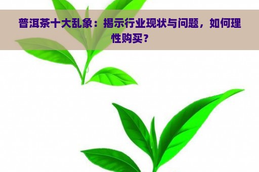 普洱茶十大乱象：揭示行业现状与问题，如何理性购买？