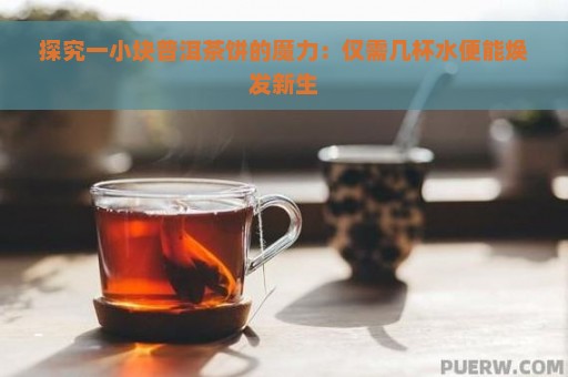 探究一小块普洱茶饼的魔力：仅需几杯水便能焕发新生