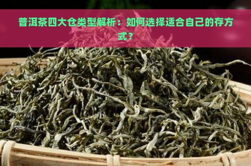 普洱茶四大仓类型解析：如何选择适合自己的存方式？