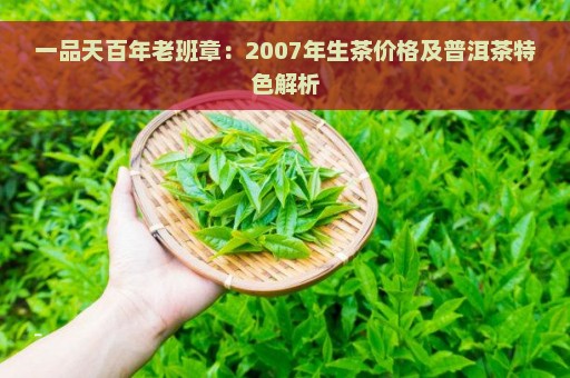 一品天百年老班章：2007年生茶价格及普洱茶特色解析