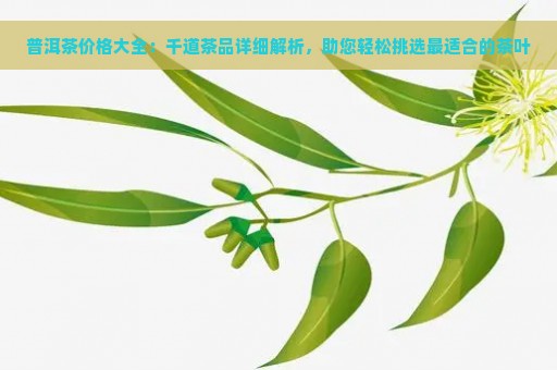 普洱茶价格大全：千道茶品详细解析，助您轻松挑选最适合的茶叶