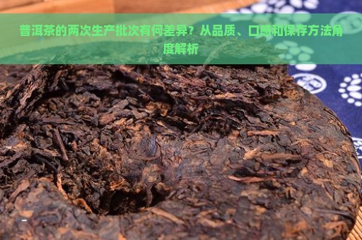 普洱茶的两次生产批次有何差异？从品质、口感和保存方法角度解析