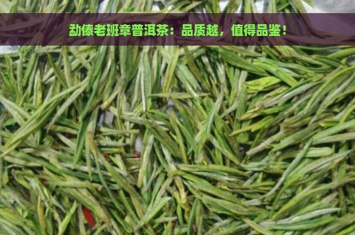 勐傣老班章普洱茶：品质越，值得品鉴！