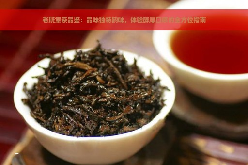 老班章茶品鉴：品味独特韵味，体验醇厚口感的全方位指南