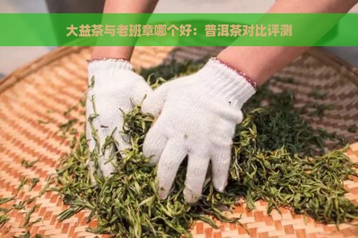 大益茶与老班章哪个好：普洱茶对比评测