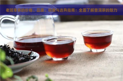 老班章茶的价格、品质、功效与选购指南：全面了解普洱茶的魅力