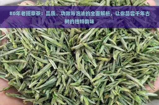 80年老班章茶：品质、功效与泡法的全面解析，让你品尝千年古树的独特韵味