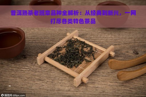 普洱熟茶老班章品种全解析：从经典到新兴，一网打尽各类特色茶品