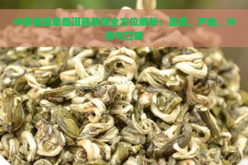 中茶老班章普洱熟茶饼全方位解析：品质、产地、冲泡与口感