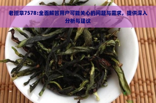 老班章7578:全面解答用户可能关心的问题与需求，提供深入分析与建议