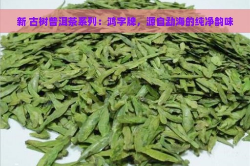 新 古树普洱茶系列：鸿字牌，源自勐海的纯净韵味