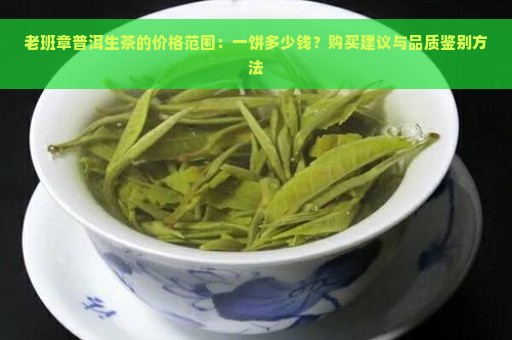 老班章普洱生茶的价格范围：一饼多少钱？购买建议与品质鉴别方法