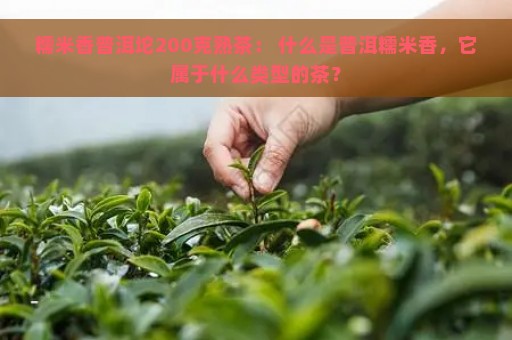 糯米香普洱坨200克熟茶： 什么是普洱糯米香，它属于什么类型的茶？