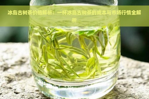 冰岛古树茶价格解析：一杯冰岛古树茶的成本与市场行情全解析