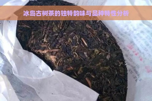 冰岛古树茶的独特韵味与品种特性分析