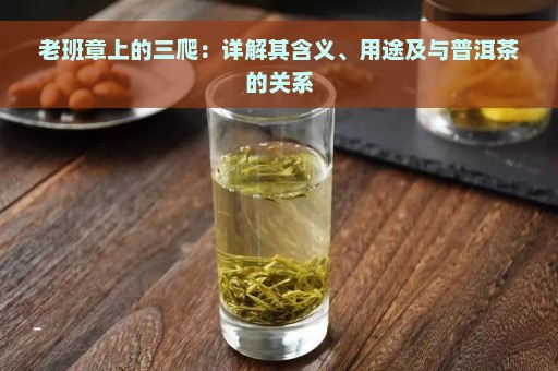 老班章上的三爬：详解其含义、用途及与普洱茶的关系