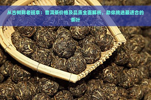 从古树到老班章：普洱茶价格及品质全面解析，助你挑选最适合的茶叶