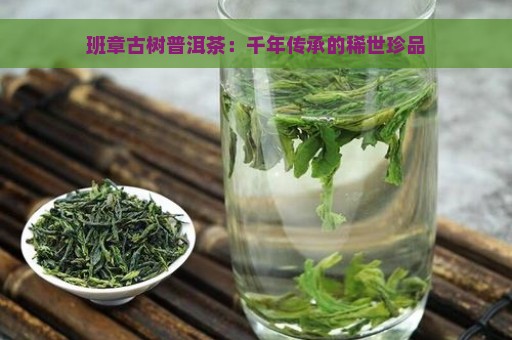 班章古树普洱茶：千年传承的稀世珍品