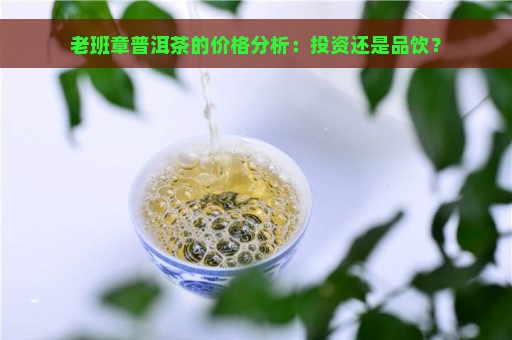 老班章普洱茶的价格分析：投资还是品饮？