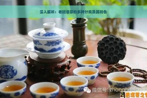 深入解析：老班章茶的多种分类及其特色