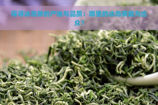 探寻冰岛茶的产地与品质：哪里的冰岛茶最为出众？