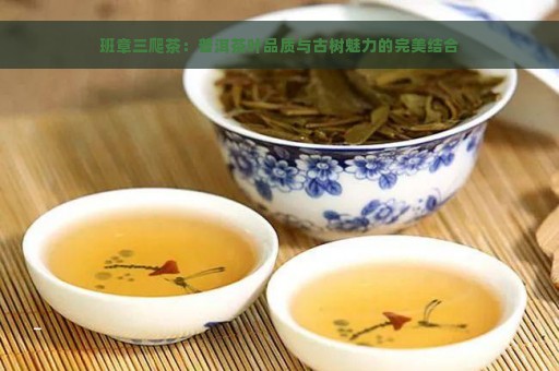 班章三爬茶：普洱茶叶品质与古树魅力的完美结合