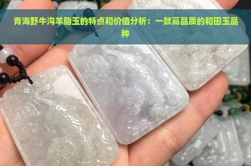 青海野牛沟羊脂玉的特点和价值分析：一款高品质的和田玉品种