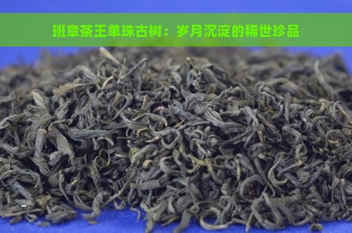 班章茶王单珠古树：岁月沉淀的稀世珍品