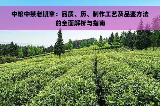 中粮中茶老班章：品质、历、制作工艺及品鉴方法的全面解析与指南