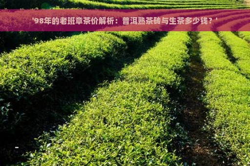 '98年的老班章茶价解析：普洱熟茶砖与生茶多少钱？'