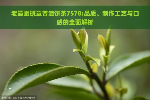 老曼峨班章普洱饼茶7578:品质、制作工艺与口感的全面解析