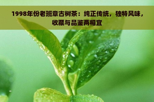 1998年份老班章古树茶：纯正传统，独特风味，收藏与品鉴两相宜