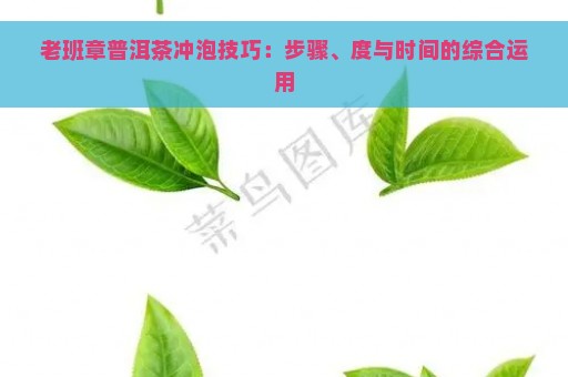 老班章普洱茶冲泡技巧：步骤、度与时间的综合运用