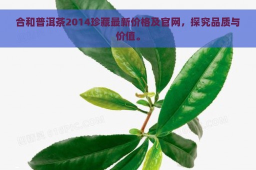 合和普洱茶2014珍藏最新价格及官网，探究品质与价值。