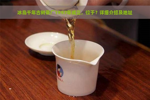 冰岛千年古树茶厂1997年成立，位于？详细介绍及地址