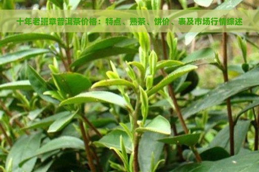 十年老班章普洱茶价格：特点、熟茶、饼价、表及市场行情综述