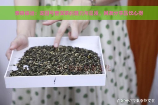 亲身体验：龙园号普洱茶的魅力与品质，网友分享品饮心得