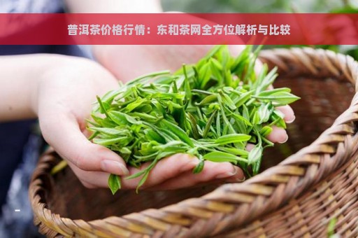 普洱茶价格行情：东和茶网全方位解析与比较