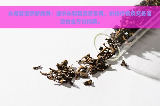 东和普洱茶新闻网：提供东和普洱茶官网、价格行情及交易信息的全方位指南。