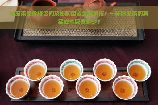 冰岛茶品价格区间及影响因素全面解析：一杯冰岛茶的真实成本究竟多少？