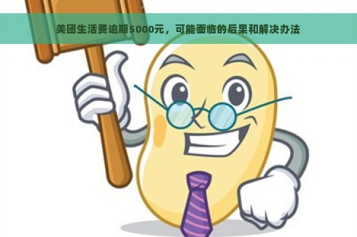 美团生活费逾期5000元，可能面临的后果和解决办法