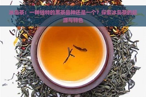 冰岛茶：一种独特的黑茶品种还是一个？探索冰岛茶的起源与特色