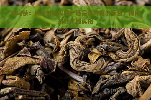 冰岛茶：真正的冰岛原产还是误导性的标签？揭秘茶叶产地真相