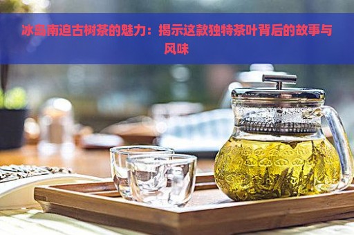 冰岛南迫古树茶的魅力：揭示这款独特茶叶背后的故事与风味