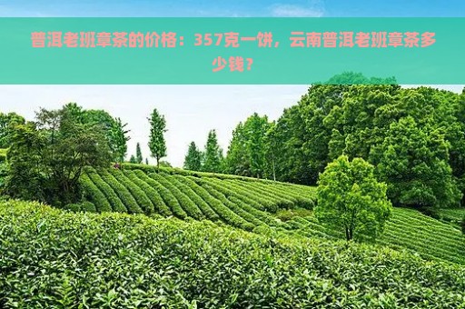 普洱老班章茶的价格：357克一饼，云南普洱老班章茶多少钱？