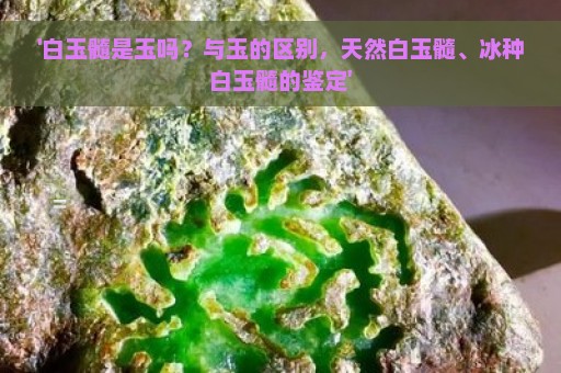 '白玉髓是玉吗？与玉的区别，天然白玉髓、冰种白玉髓的鉴定'