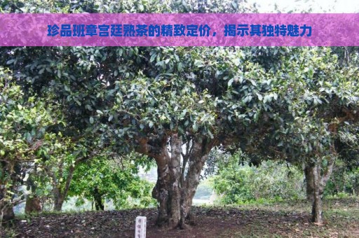 珍品班章宫廷熟茶的精致定价，揭示其独特魅力